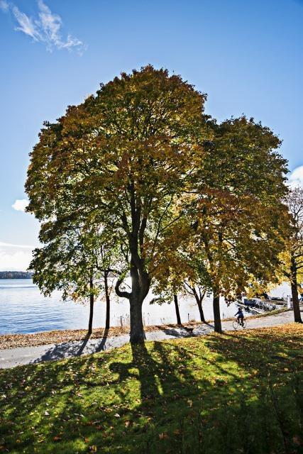 Villa Soederas Vaxholm Kültér fotó